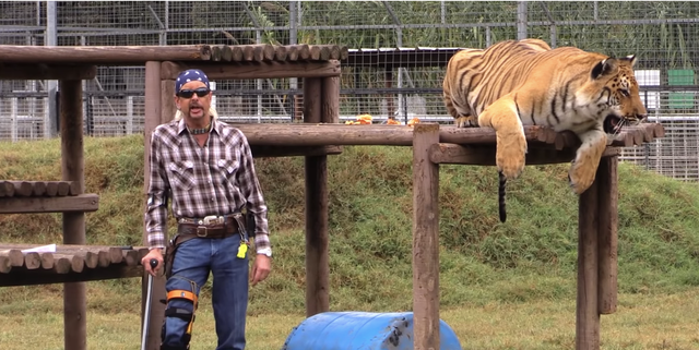 Fanatical zoo-keeper, Joe Exotic, poses with one of his many tigers. His animal holding practices are widely controversial due to their harsh and cheap manner. 