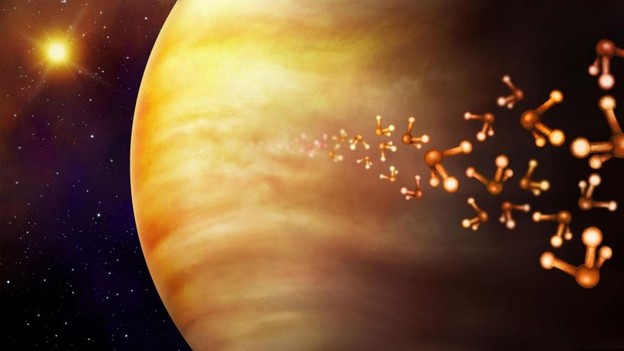 Scientists delve into the possibility that life can be sustained on the planet of Venus.