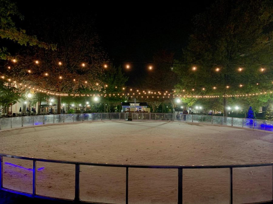 Citizens get a first-look at the newly established ice rink in Downtown Spartanburg.