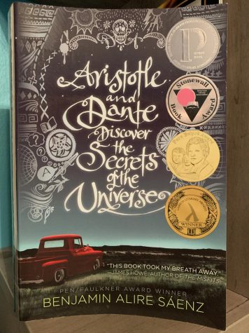 The novel, Aristotle and Dante Discover the Secrets of the Universe, is the heart-wrenching story of two best friends.