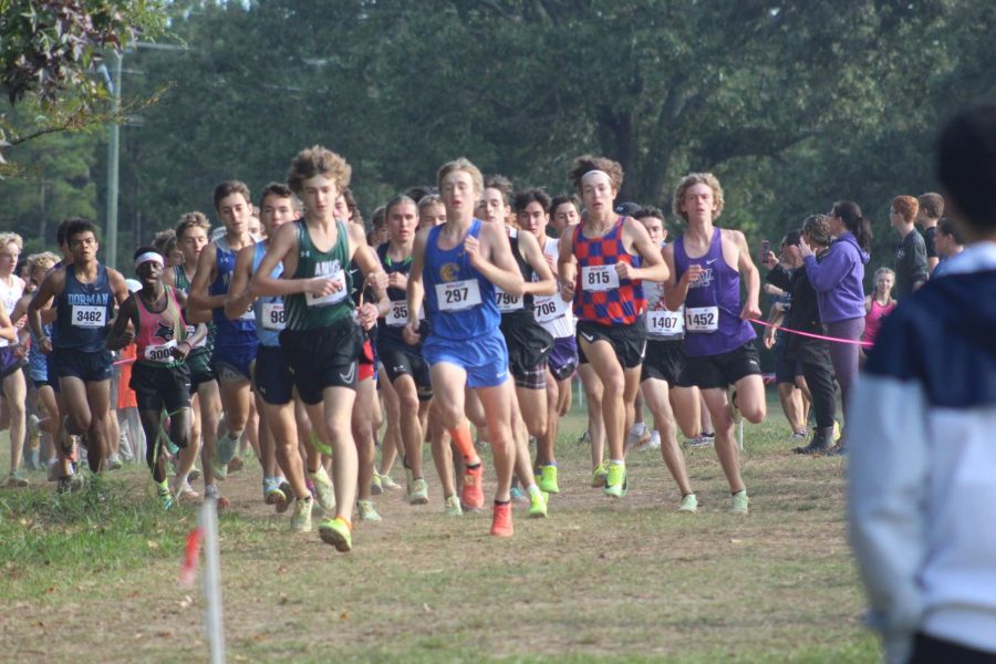 After a long summer of intense training, cross-country runners across the state get ready for the season ahead.