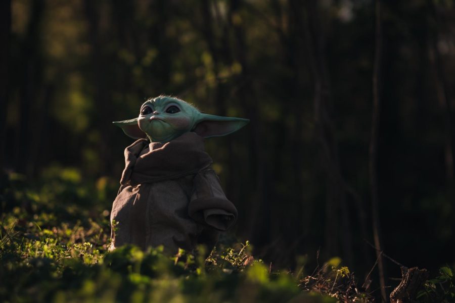 Baby Yoda is a character developed by Disney for the Star Wars TV show The Mandalorian.
