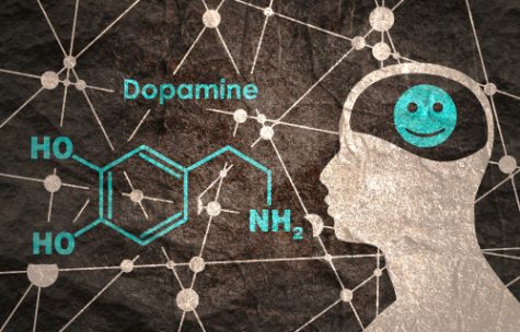 Dopamine is the main chemical in the brain that allows people to feel happiness and love.
