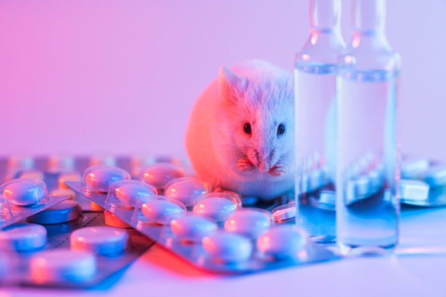 The ethics of animal testing are still up in the air.