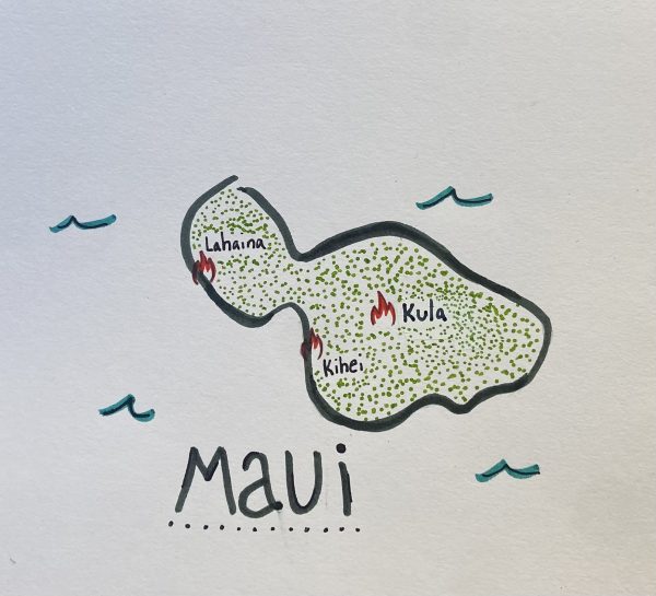 A map displays various sectors of Maui that were devastated by the recent fires. 