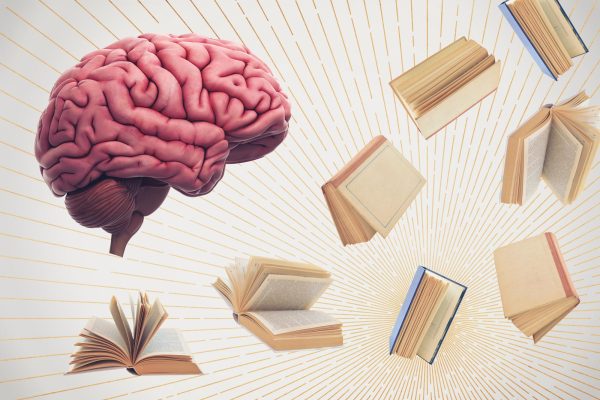 Did you know that the things that you learn affect the way your brain grows?