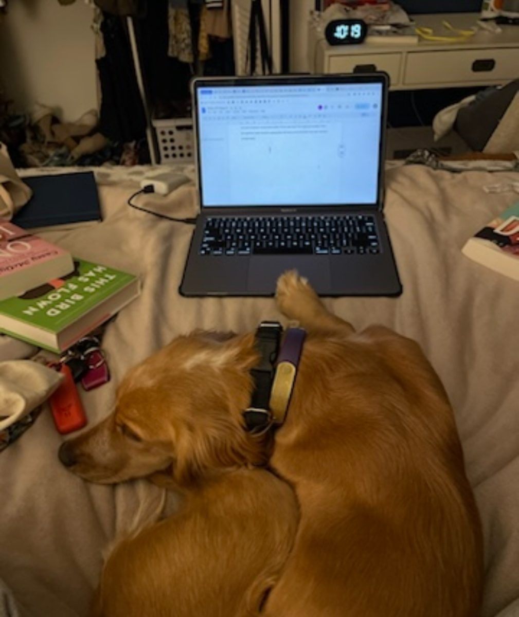 Caroline+Colbaths+%2812%29+dog+helps+her+with+homework.+