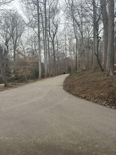 Spartanburgs River Birch Trail has drawn residents looking to walk, run and bike. 