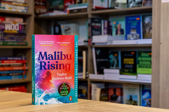 Malibu Rising is centered on four siblings and their relationships as they grow up and grow apart.