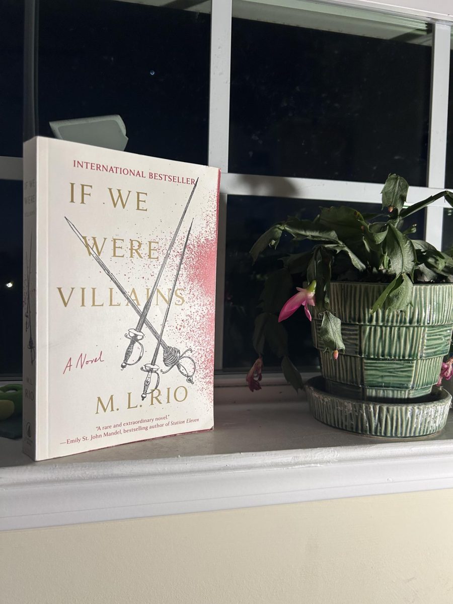 "If We Were Villains" by M. L. Rio resting on a window seal next to a plant.