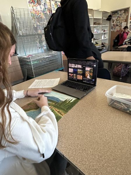 SHS student working on art project based on a google image.