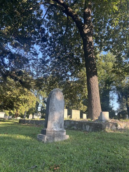 A gravestone resting under a tree as the sun sets on Oakwood Cemetery.