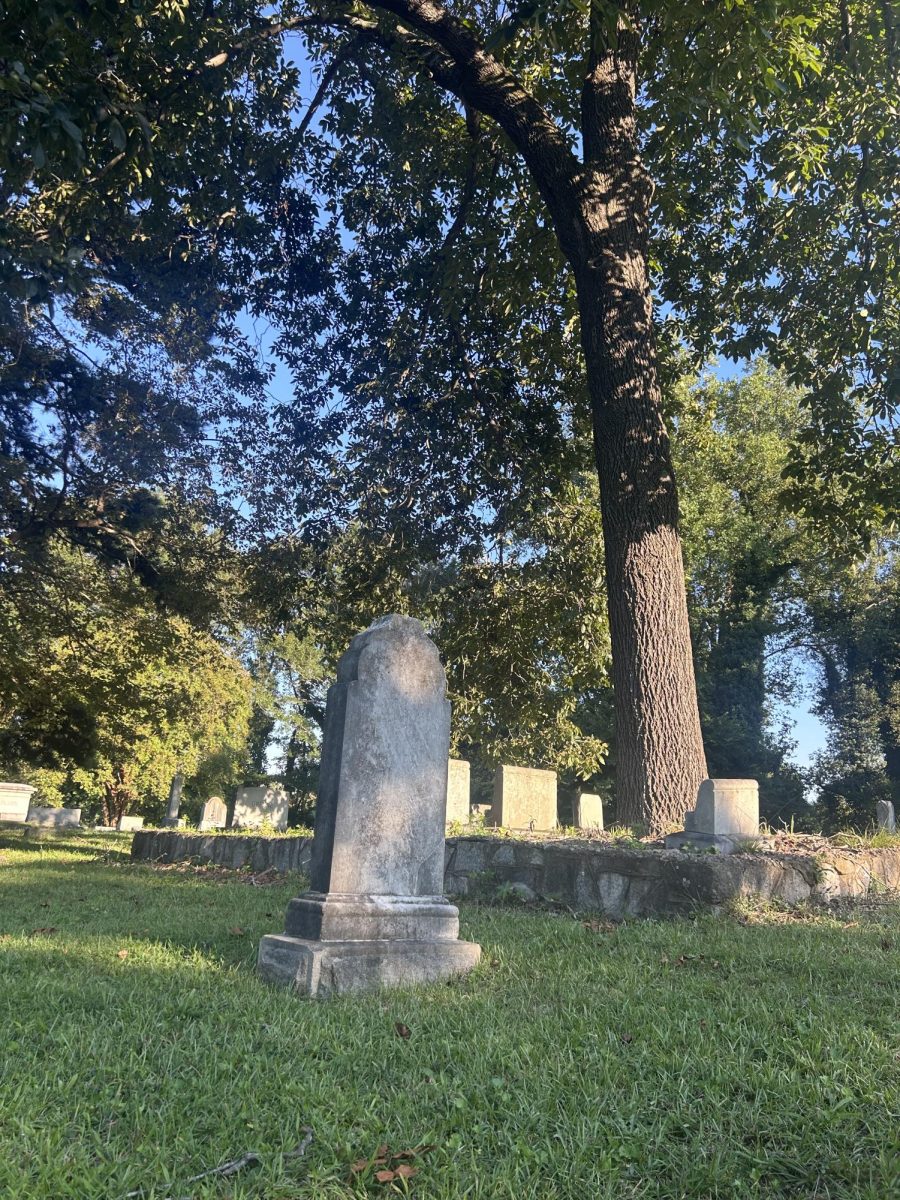 A gravestone resting under a tree as the sun sets on Oakwood Cemetery.