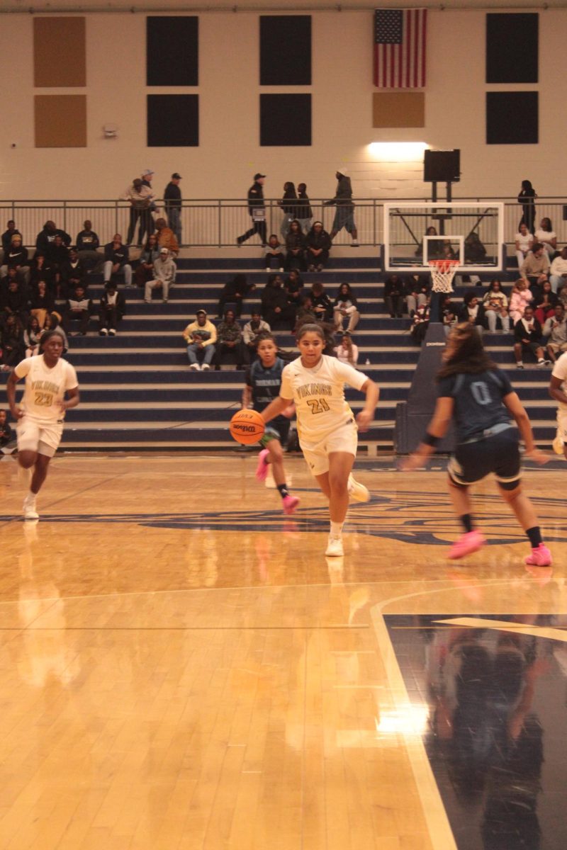 The boys and girls Viking basketball teams finished their seasons strong, with both Varsity teams making it to the second round of playoffs.